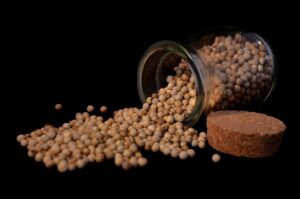 pepper condiment spice white pepper seasoning flavoring food pepper pepper pepper pepper pepper white pepper white pepper white pepper white pepper