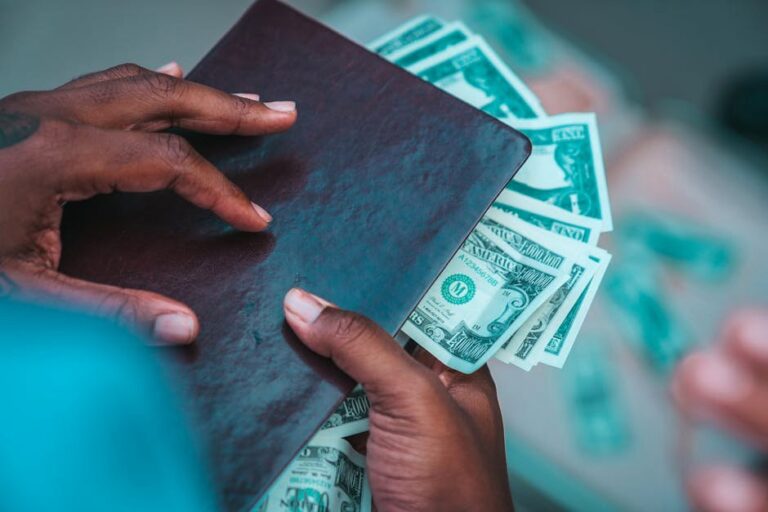 Close-up of hands holding a leather wallet and dollars, showcasing wealth and finance.
