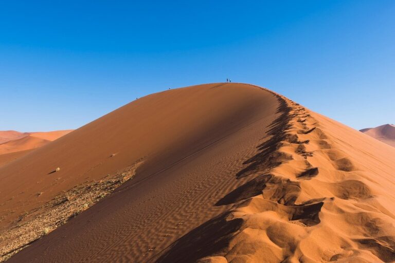desert sand dry dune barren travel nature climate africa