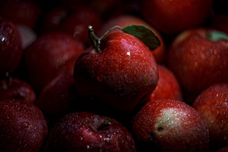 apples fruits red apples fresh apples fresh fruits still life
