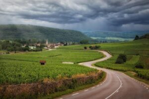 road vineyards clouds burgundy france nature landscape