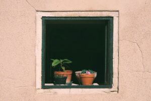 window flower pots potted plants plants nature window sill outlook insight to water