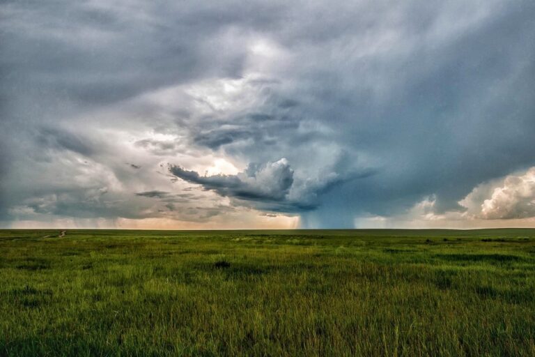 landscape mongolia mongolia eastern dollars non plains step horizon storm meadow grass field cloud nature sky rain