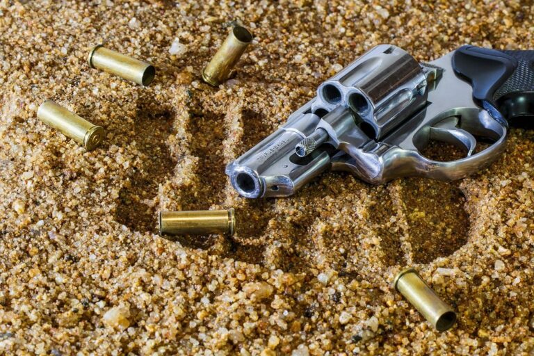 firearm revolver bullet gun weapon handgun crime danger shot shoot crime scene shooting security criminal murder dangerous defense brown security brown gun
