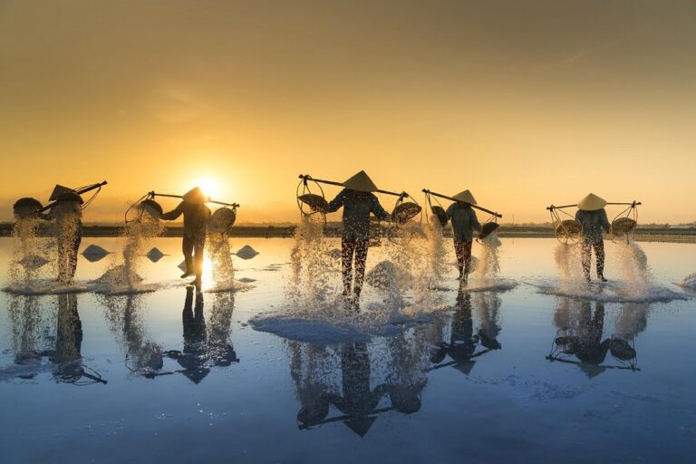 salt harvesting vietnam water salt work people reflection hon khoi salt field nature salina tropical agriculture asia harvest asian hats traditional