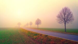 dawn road fog landscape trees nature field meadow fields in the morning foggy haze sunrise mood backlighting morning mood morning sky atmospheric road road road road road sunrise