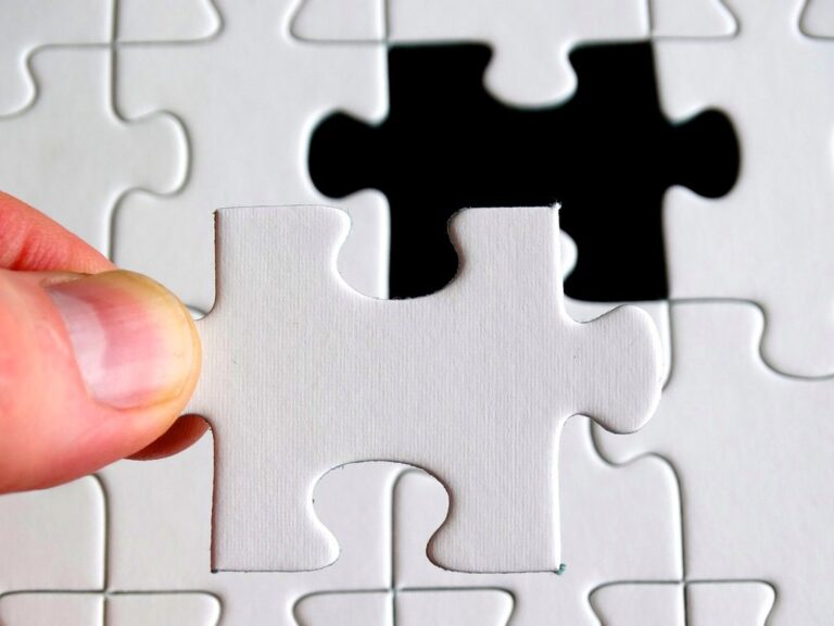 puzzle last particle piece delimitation exact fit last element insert puzzle puzzle puzzle puzzle puzzle