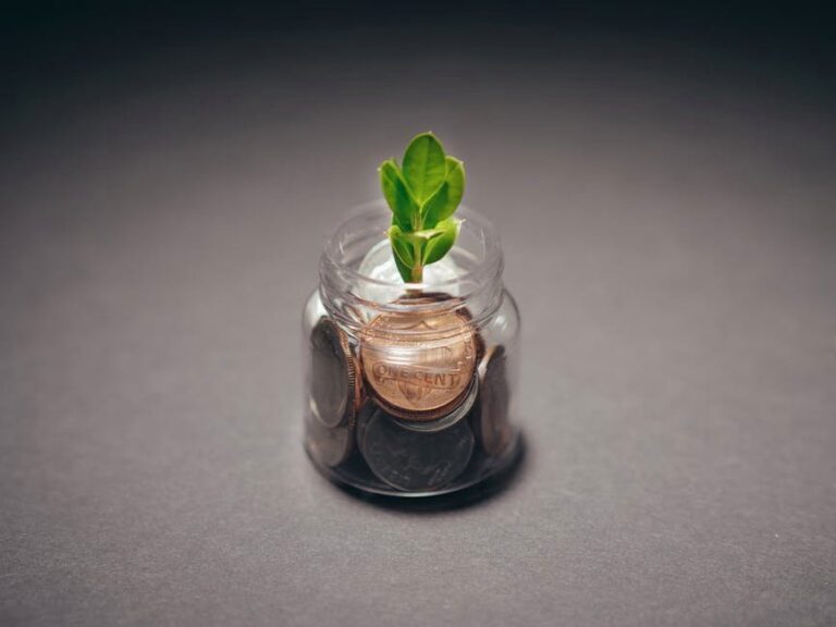 Green plant growing from a jar filled with coins, symbolizing financial growth and investment.