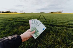 Hand holding euro banknotes against a lush green rural field, symbolizing financial growth.
