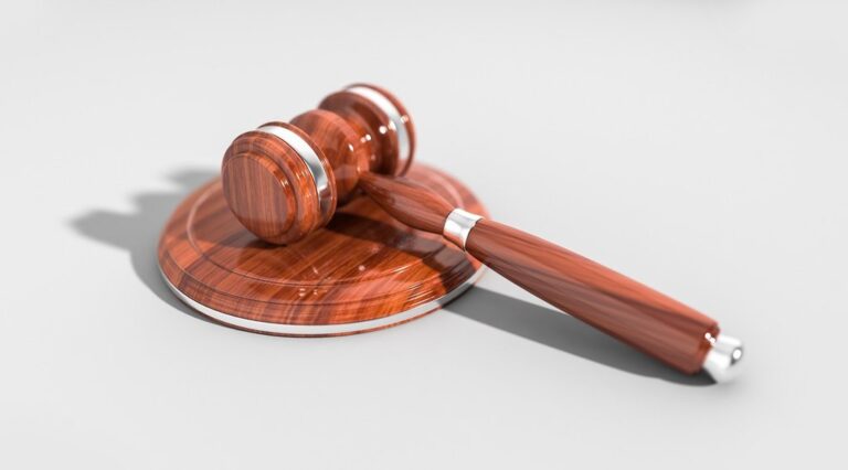 gavel auction law hammer symbol judge legal justice crime criminal wooden 3d wood judgment trial verdict punishment rights authority court legislation constitution courthouse bid law law law law law legal justice court court court