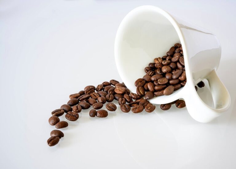 coffee coffee beans cup mug white cup caffeine coffee cup roasted coffee beans coffee seeds