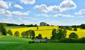 landscape nature oilseed rape field agriculture rural panorama spring grain clouds heaven expanse fields cloudy sun blue weather green yellow meadow hill weather mood idyllic in the green free space growth harvest graze homeland bavaria agriculture spring spring spring spring spring weather