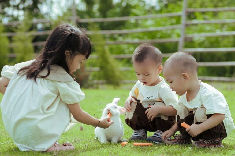 kids rabbit nature children outdoors picnic bunny animal