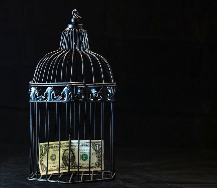A dollar bill imprisoned in a decorative cage symbolizing financial confinement.