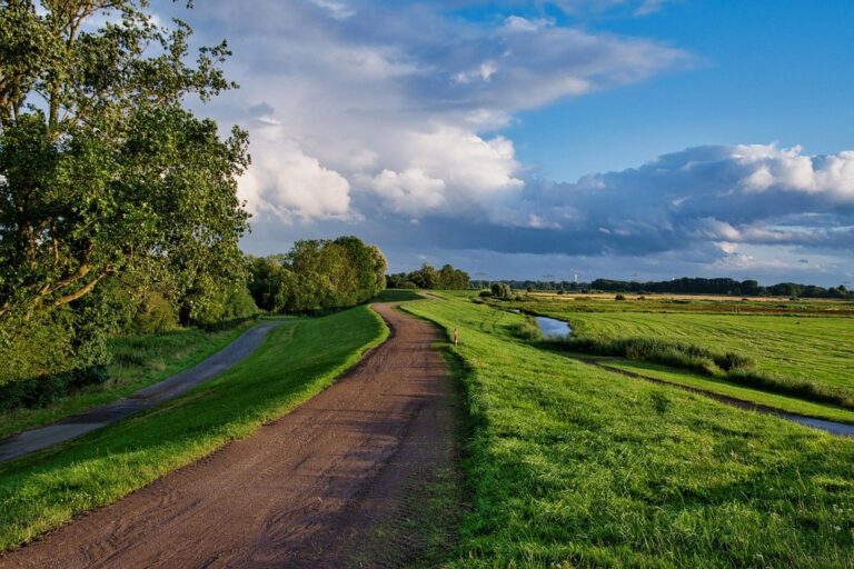 path grass dike clouds northern germany dike path nature reserve nature idyll landscape quiet meditation path landscape meditation meditation meditation meditation meditation